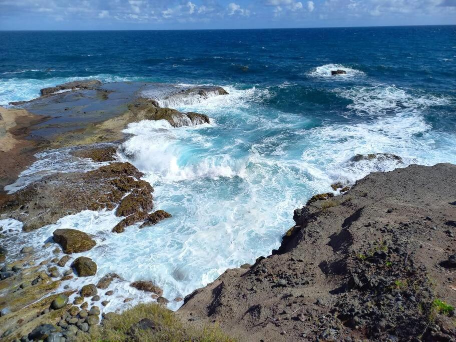 Entre Foret Et Mer Gros-Morne Exterior foto